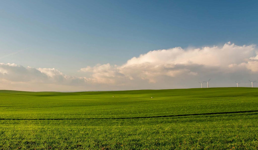 green field